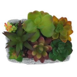 GAEM Цветочная композиция "Суккуленты", L16 W11,5 H16 см
