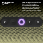 Портативная умная колонка Яндекс Станция Стрит - зеленая