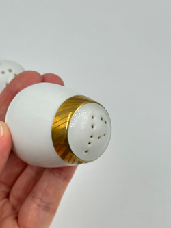 Набор из солонки и перечницы Rosenthal