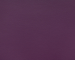 Кухонный уголок со спальным местом Каприччио 022 кожзам purple дерево