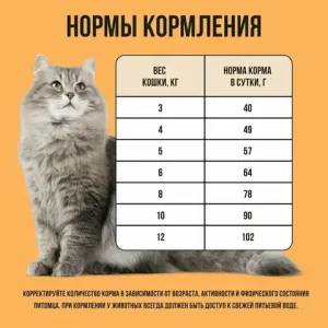Уценка! Повр.упак. / Сухой корм BOWL WOW для кошек с чувствительным пищеварением с индейкой, курицей и тыквой