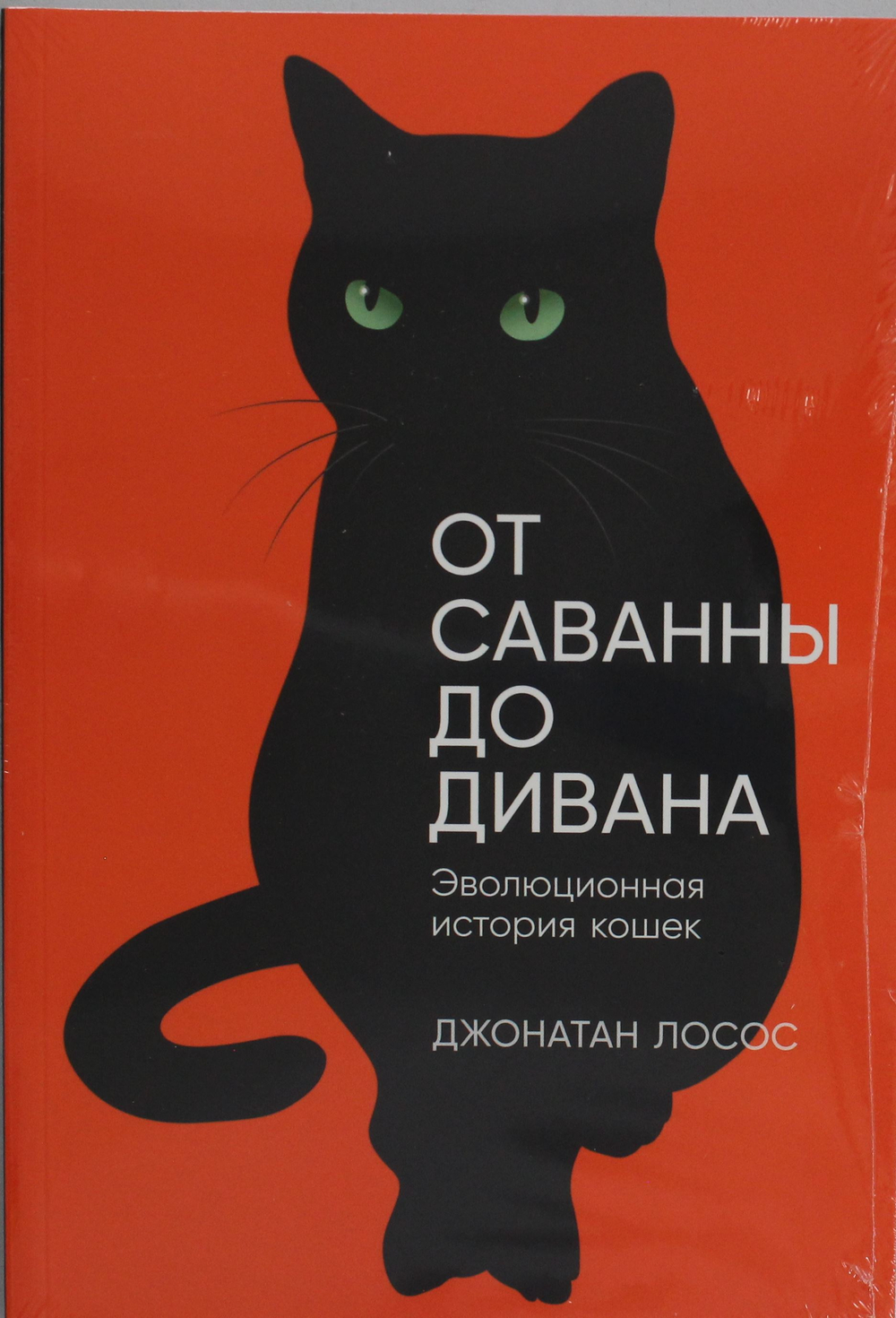 От саванны до дивана: Эволюционная история кошек