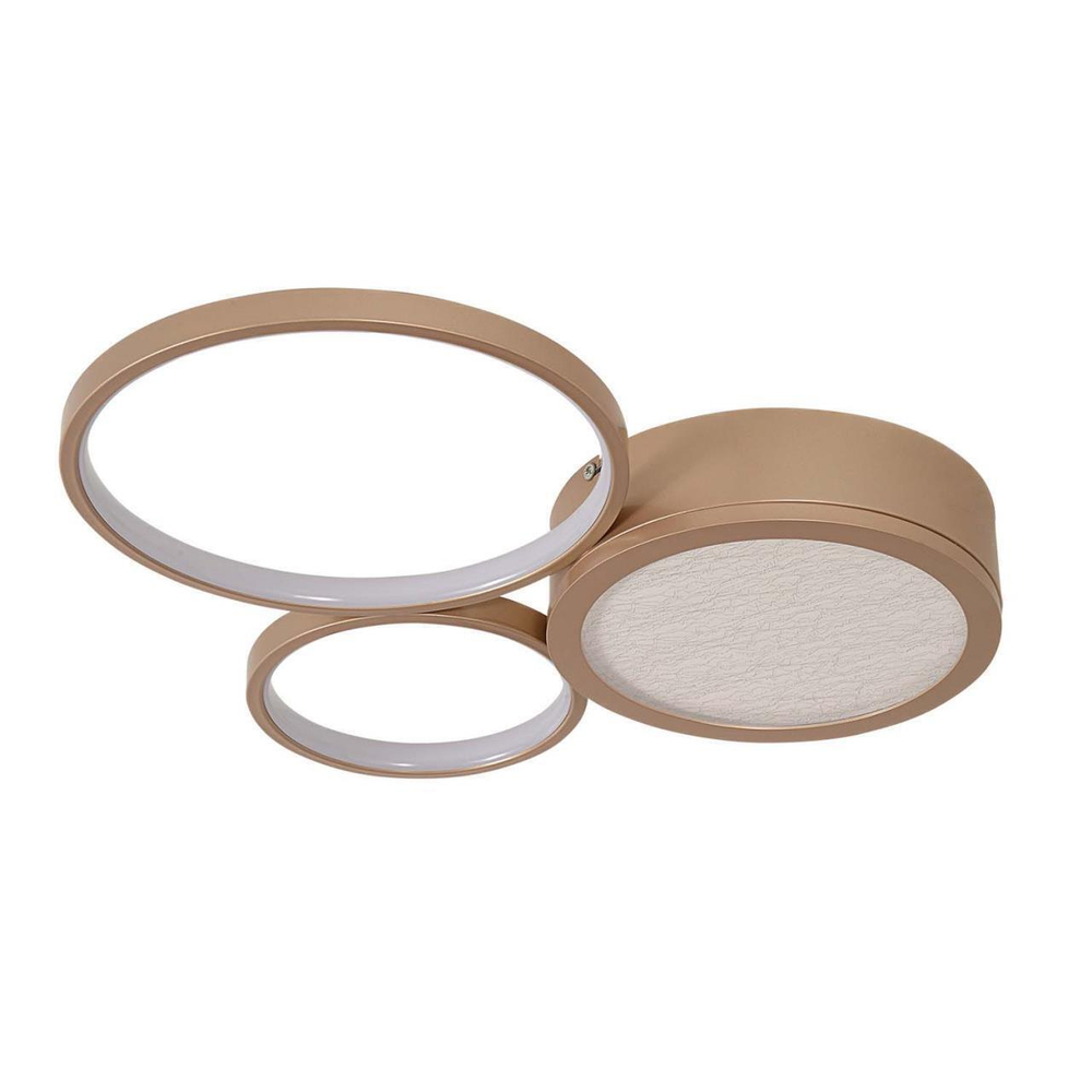 Потолочная светодиодная люстра F-Promo Campus 4681-3C