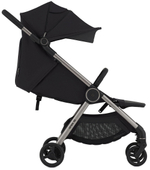 Детская коляска Anex iQ Premium NT 2 в 1 Darke