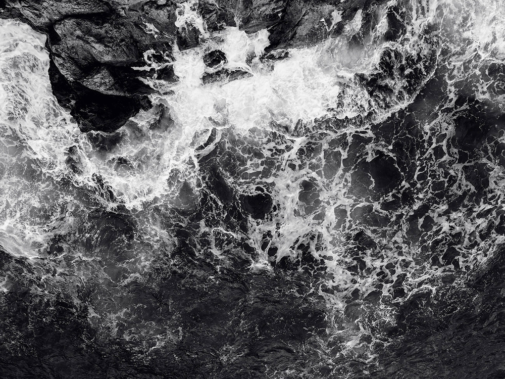 Дизайнерские обои Wall Street Bird see