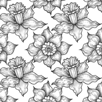 Нарцисс графика