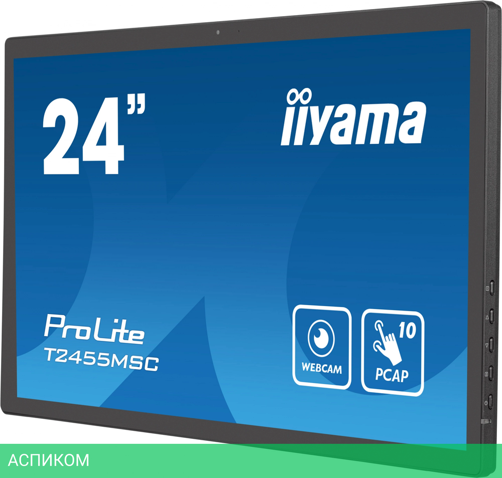 Монитор Iiyama ProLite T2455MSC-B1 черный