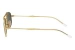 RAY-BAN RB3719 001/31