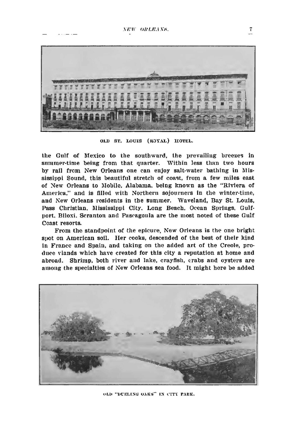 New Orleans what to see and how to see it; a standard guide to the city of New Orleans | New Orleans Progressive Union