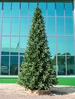 Большая елка «Европейская» (Литая+пвх) 6,5 м