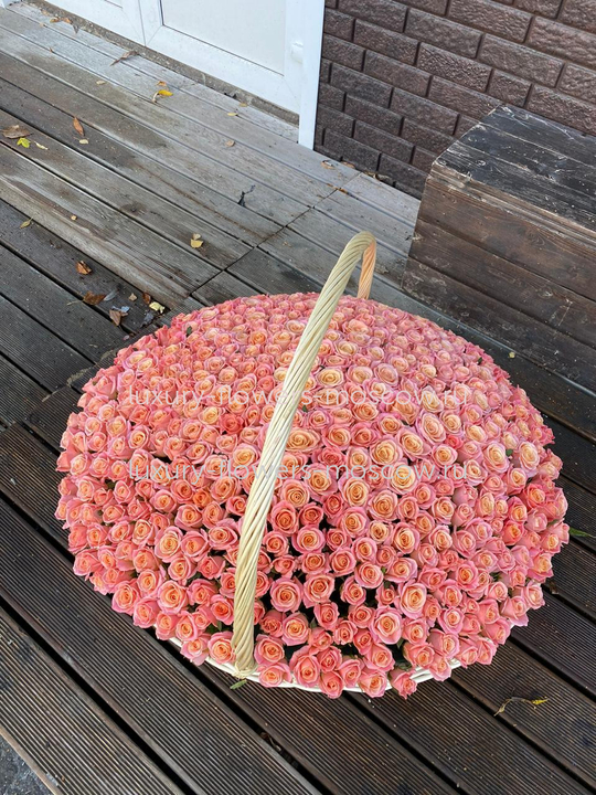 501 роза персико розовая в корзине