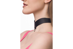 Лунный свет Ошейник премиум с кольцом