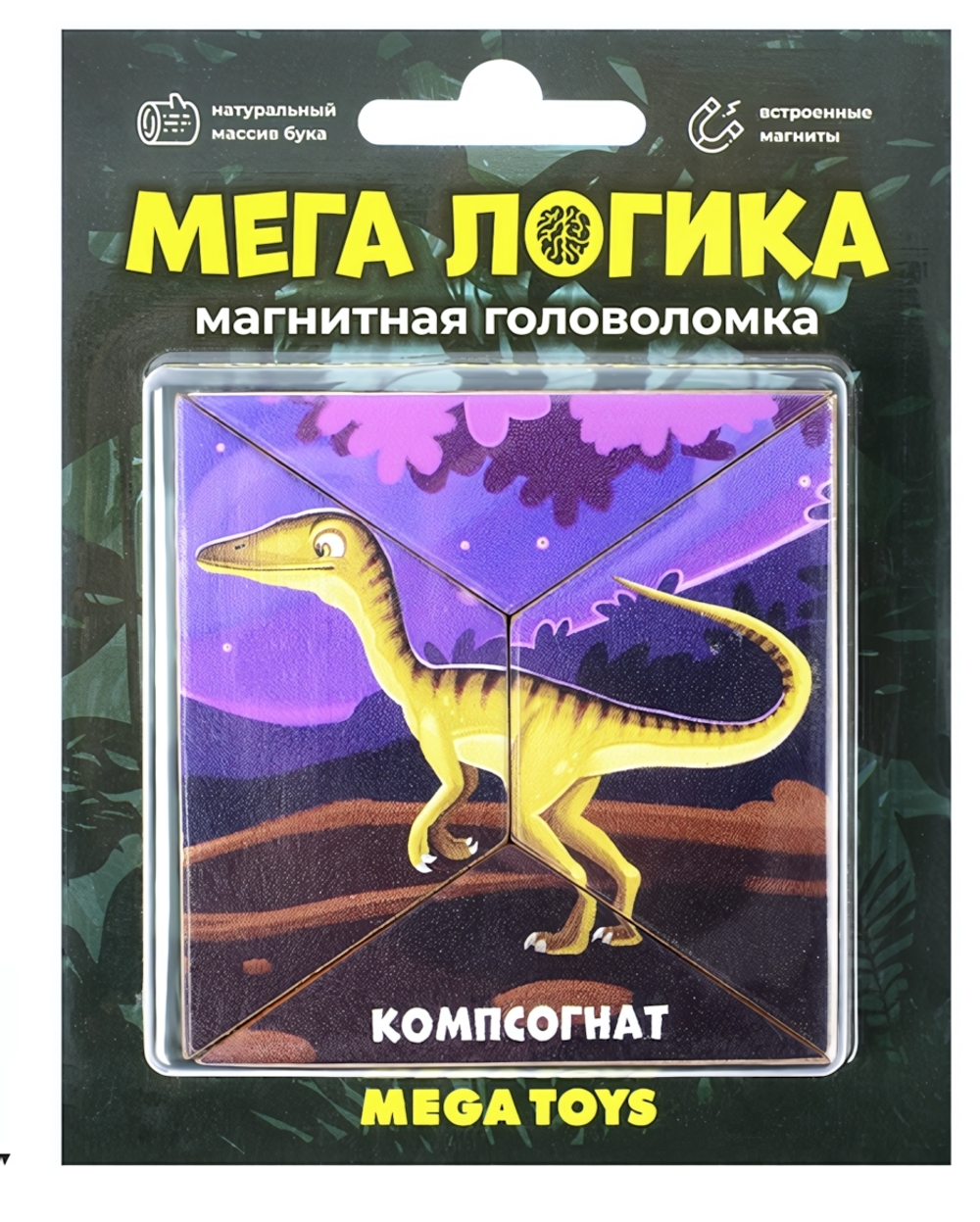 Магнитная головоломка по системе раннего развития Никитина "Компсогнат" (Лидер)