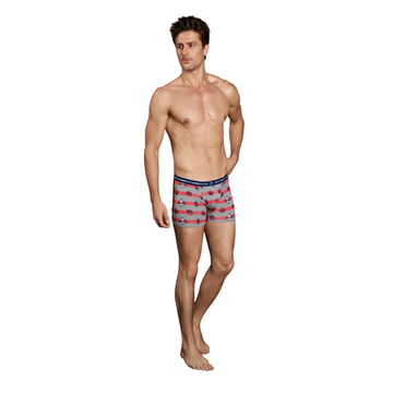 Мужские трусы боксеры серые с принтом Cool Forever Doreanse 1837