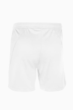 Шорты Nike Team Handball Court