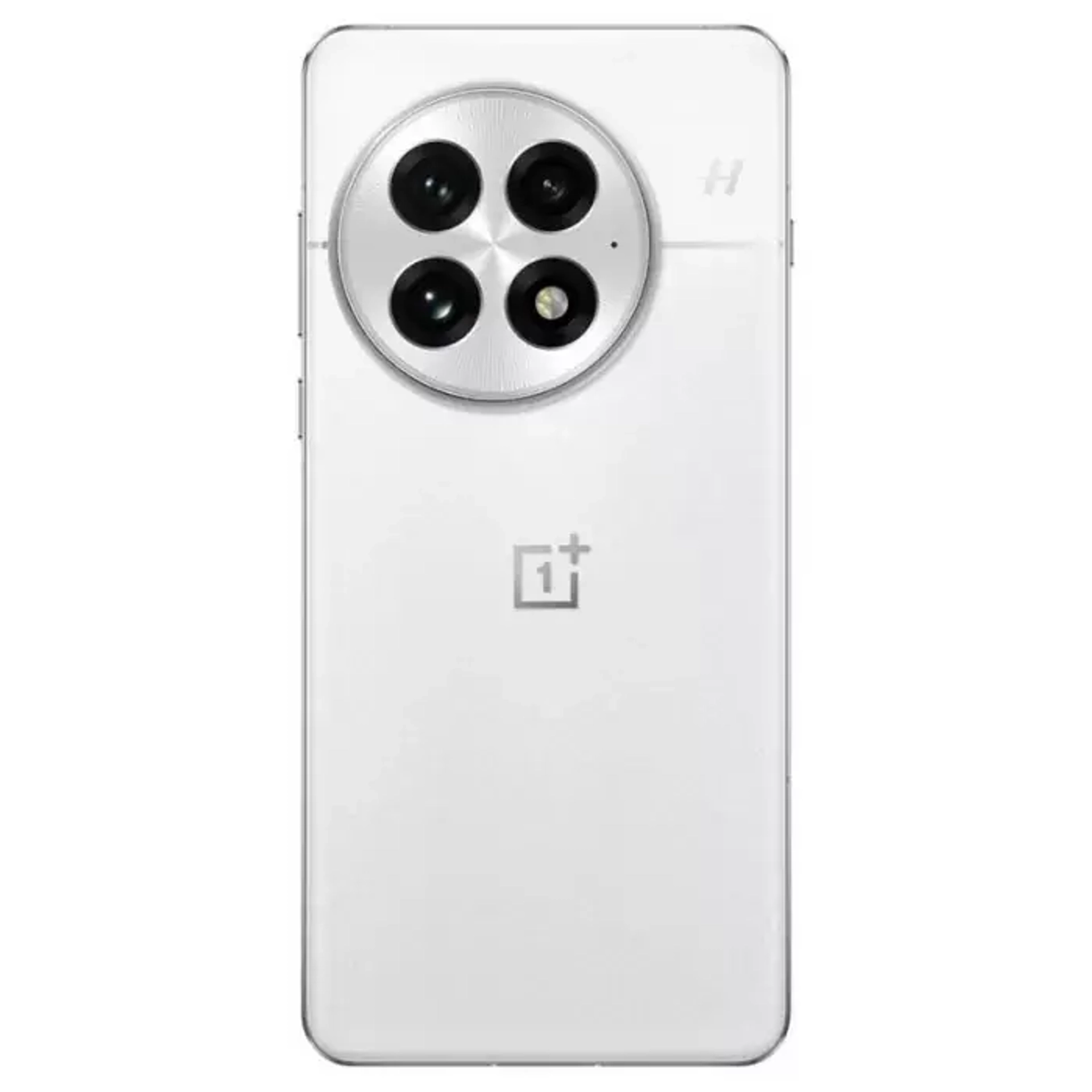 OnePlus 13