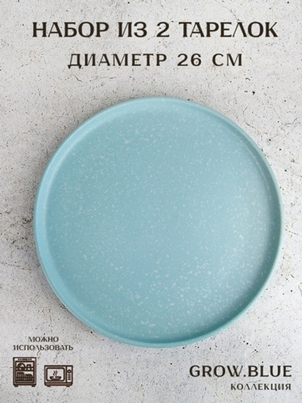Набор из 2 шт тарелка "Grow.Blue" d=26 см (керамика) (индивидуальная упаковка)