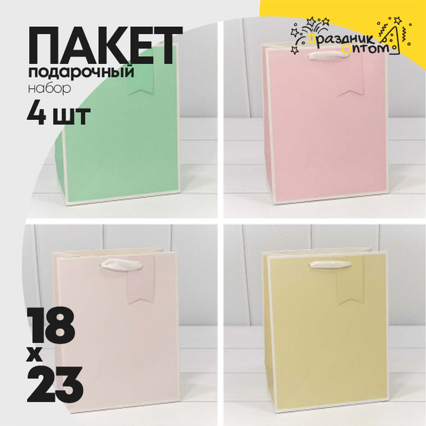 
          Пакет подарочный 18х23х10см Премиум однотонный в рамке (Микс)