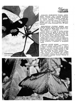 Журнал "Вокруг света". № 11, 1965 | Нет автора