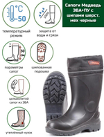 Сапоги