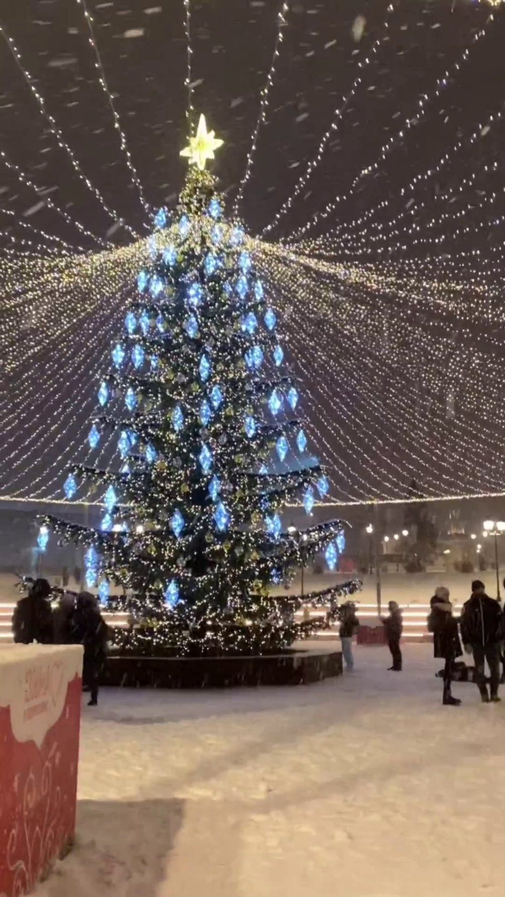 Светодинамическая елка ствольная со скамейкой, встроенная гирлянда: Холодный свет - "Лесная" (Литая хвоя) 16 м