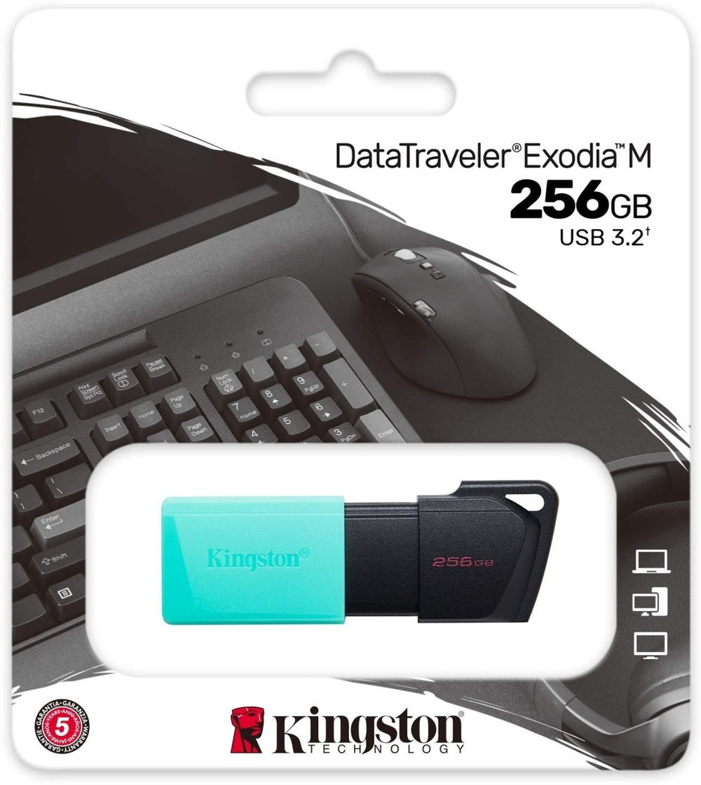 USB Flash карта Kingston DTXM/256GB 256 Гб