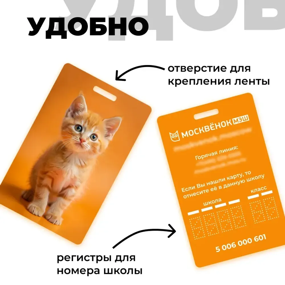 Карта Москвёнок CATS №5 (проход + питание)