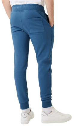 Мужские теннисные штаны Björn Borg Logo Pants - небесный