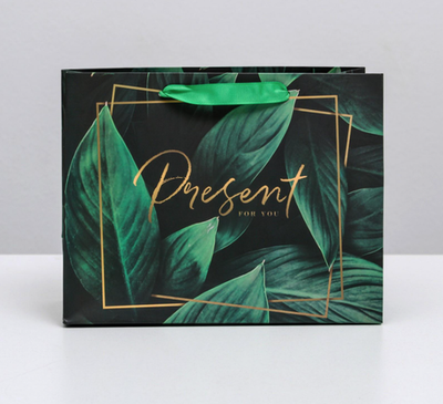 Пакет подарочный ламинированный горизонтальный, упаковка, Present for you, MS 23 х 18 х 10 см