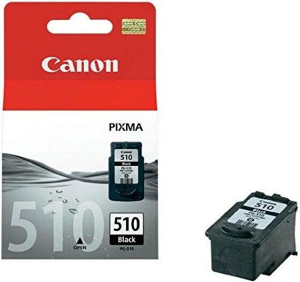 Картридж струйный черный 1 шт Canon CCICTO0243 2970B001