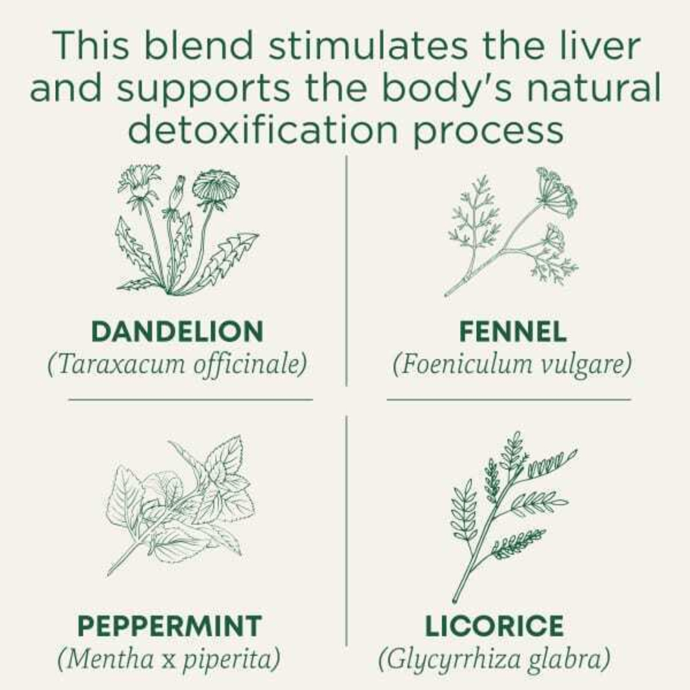 Traditional Medicinals, Organic EveryDay Detox, одуванчик, без кофеина, 16 чайных пакетиков в упаковке, 24 г (0,85 унции)