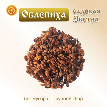 Облепиха Садовая Экстра.