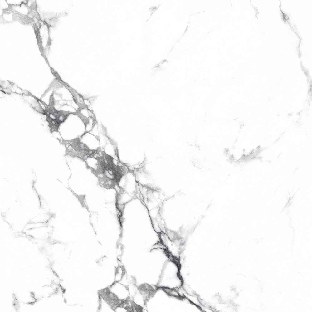 Керамогранит Arcadia Ceramica Borghini Silver 60x60 см 1.44 м² матовый цвет серый