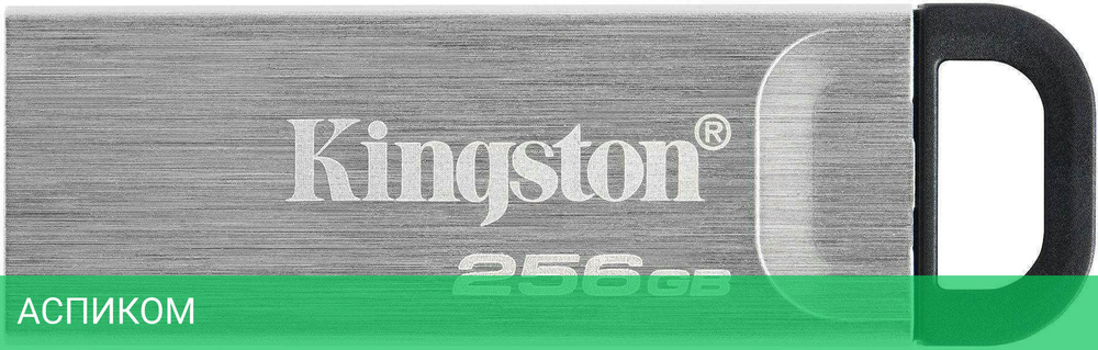 USB Flash-накопитель Kingston DataTraveler Kyson 256GB металл серебристый (DTKN/256GB)