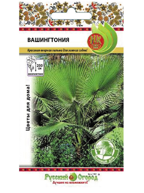СЕМЕНА ПАЛЬМА ВАШИНГТОНИЯ РУССКИЙ ОГОРОД