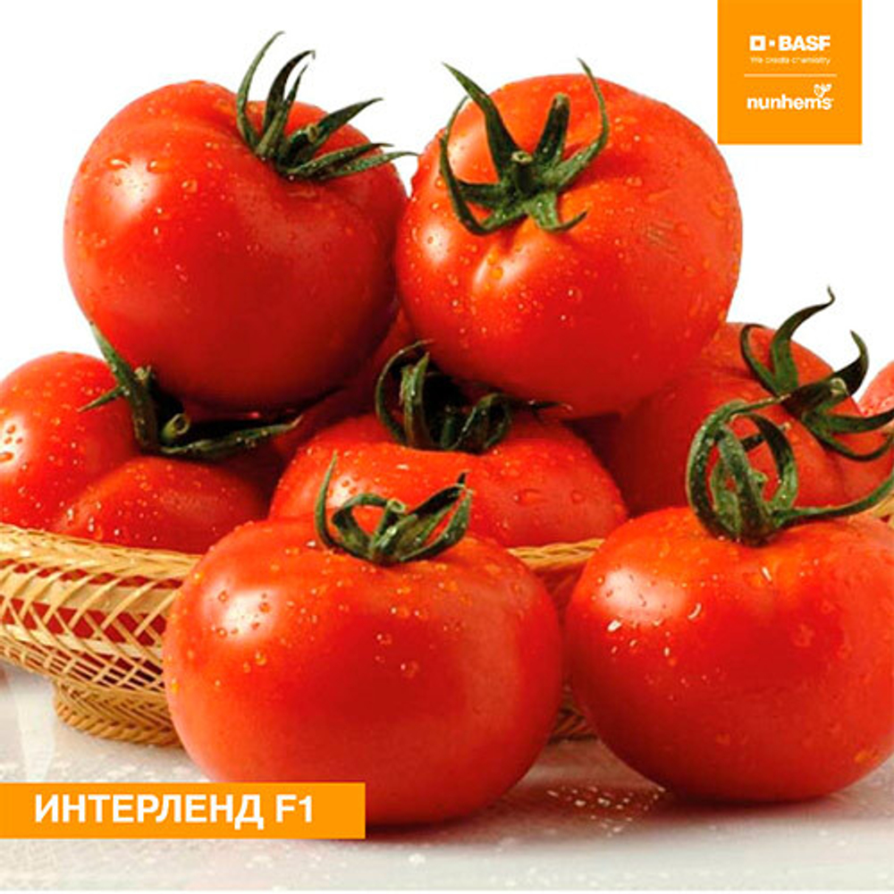 Томат Интерленд F1