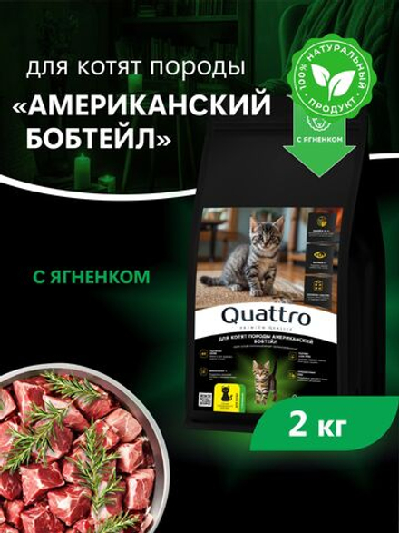 Корм сухой для котят породы Американский бобтейл, с ягненком, 2кг, QUATTRO