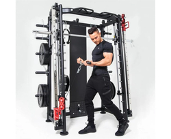 Мультистанция, машина Смита DFC Gorilla Sport 822