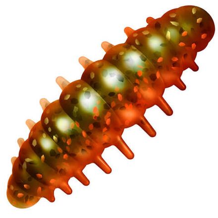 NOA LARVA