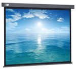 Экран  Cactus CS-PSW-124X221-BK