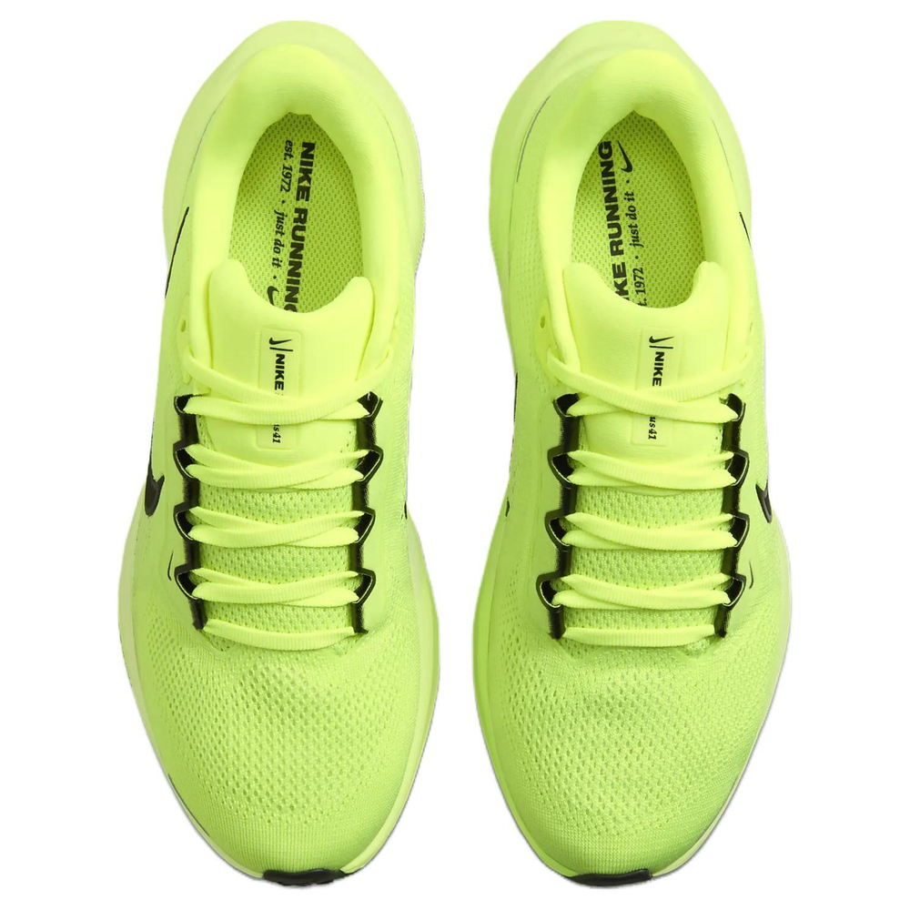Кроссовки Nike Pegasus 41 (Женская размерная сетка)
