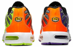 Кроссовки Nike Air Max Plus Color Flip