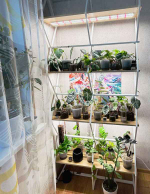 Комплект LED Quantum line 90 см, 45W