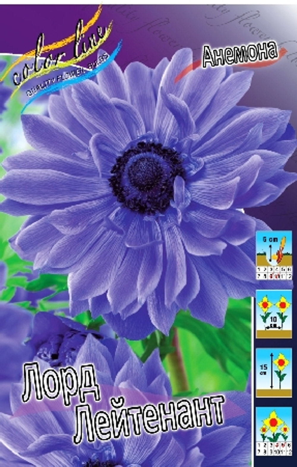 Томат Росе Семко