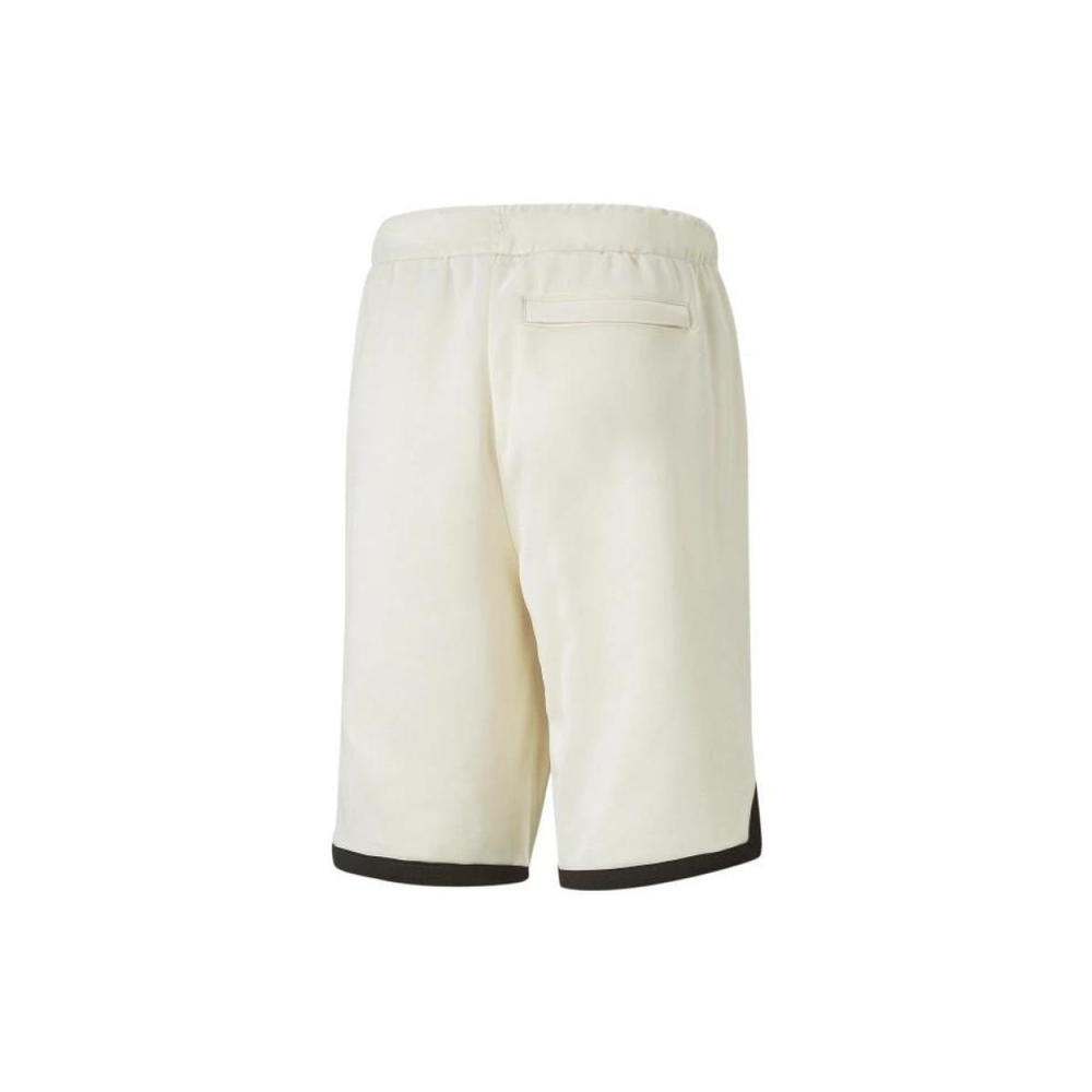 Шорты PUMA 8 Pt Logo Team Shorts, 536923-65