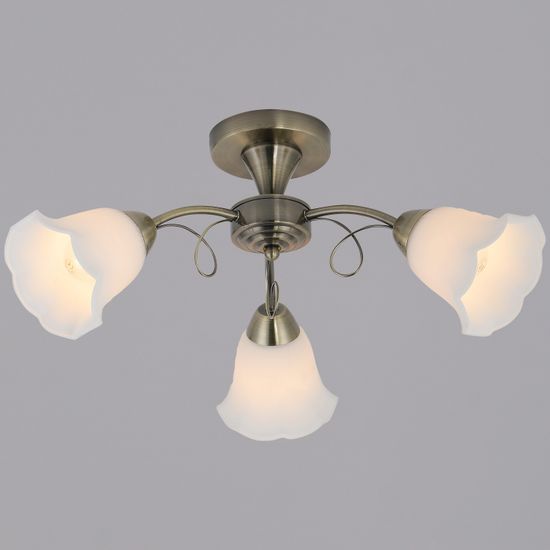 53270-0.3-03 светильник потолочный