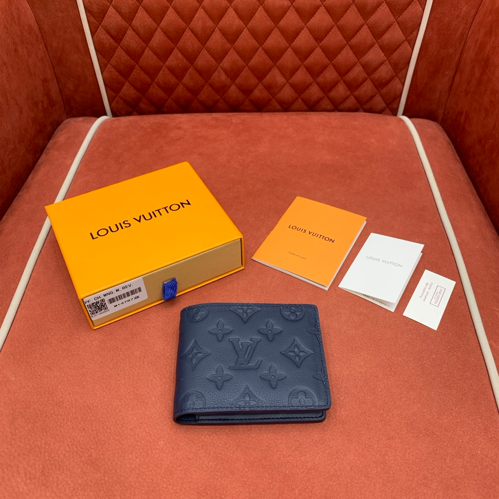 Louis Vuitton Multiple Wallet