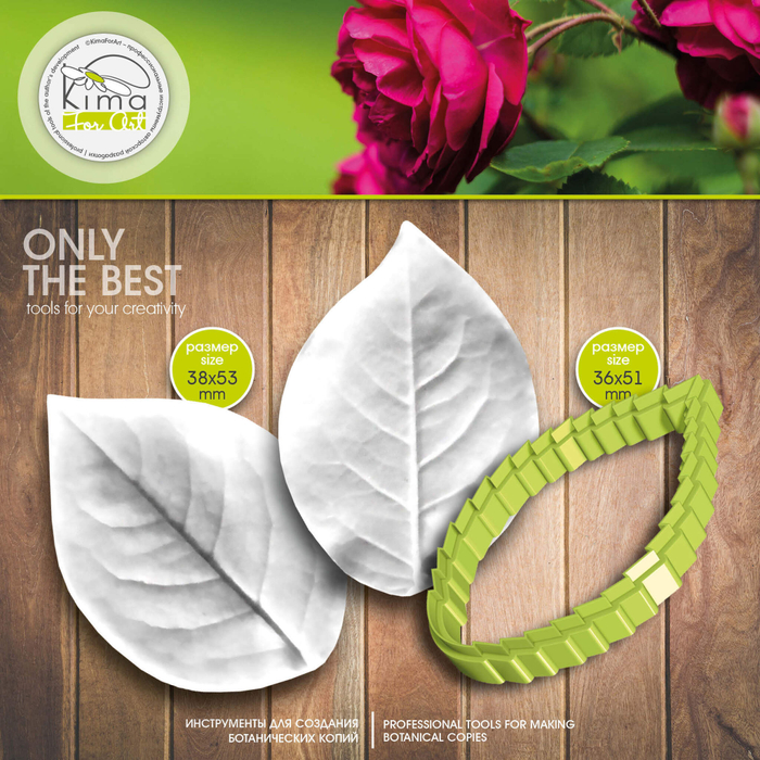 Роза кустовая лист