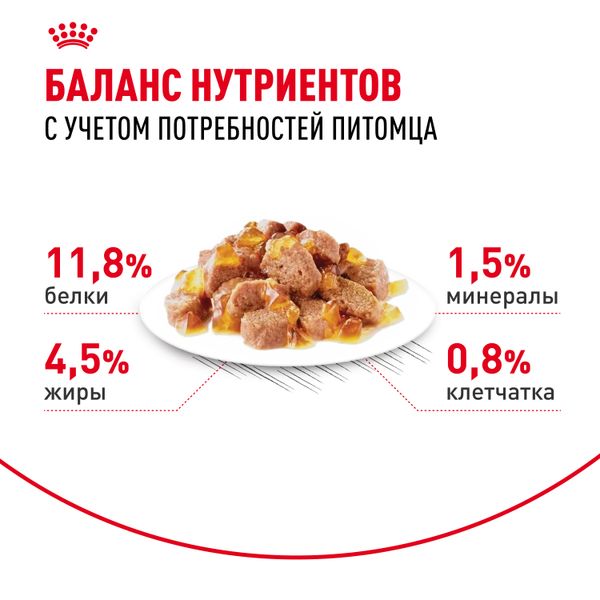 Пауч Royal Canin Instinctive для взрослых кошек, мелкие кусочки в желе