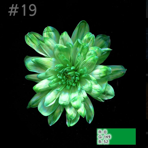 Краска для окрашивания живых цветов, Зелёный